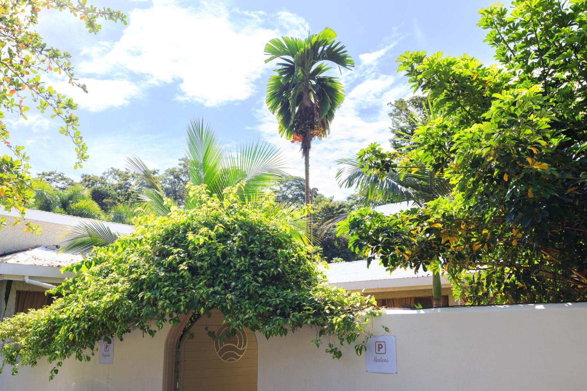 Villa Casa Azul & Arena Blanca Apartamentos Puerto Viejo de Talamanca Exterior photo